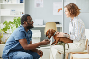 dog-with-owner-at-the-vet