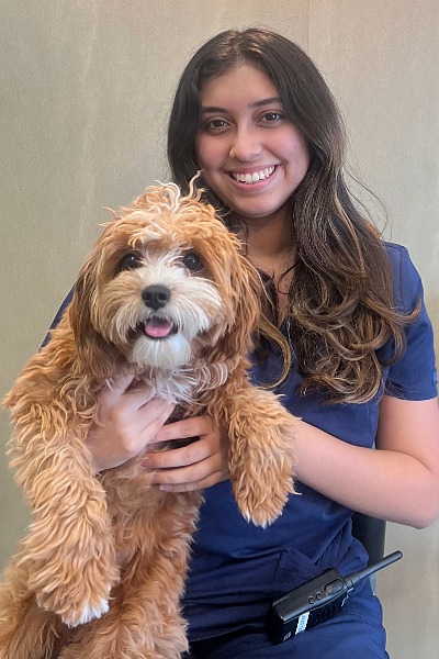 Female with long brown hair holding a mixed breed dog with curly light brown hair and a white face