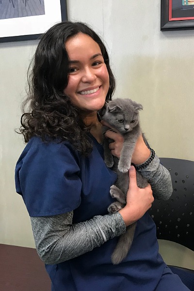 female with long dark hair holding a gray cat