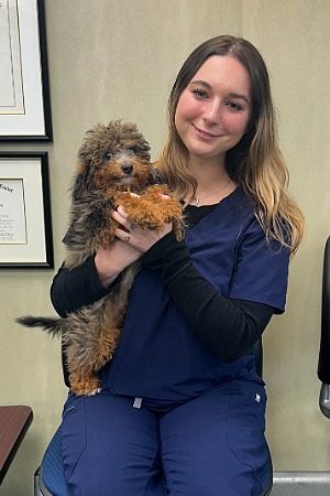 female holding a small brown dog