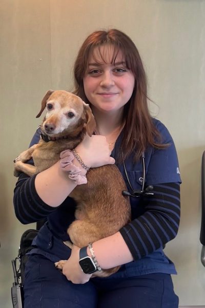 Ava holding a brown dog at the practice
