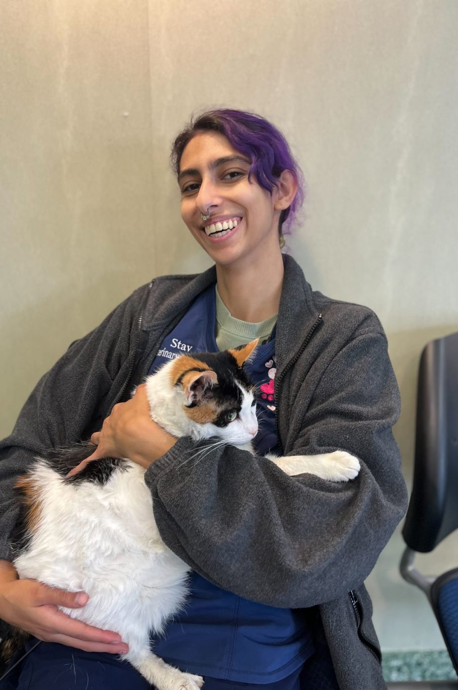 staff member with cat